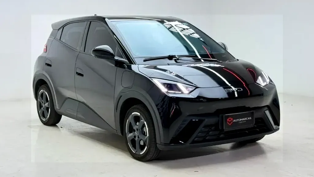 Foto de um byd dolphin mini