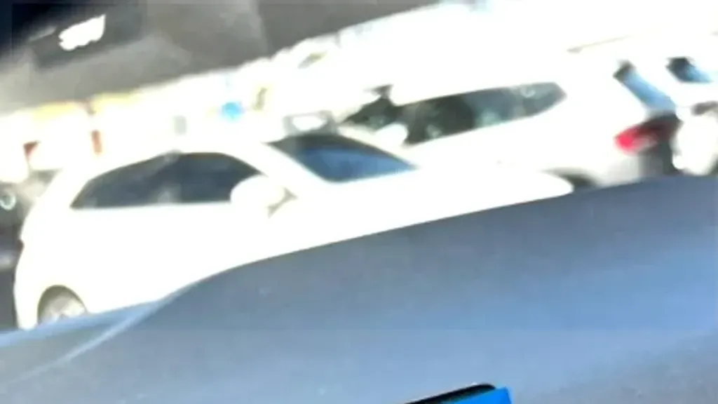 BYD Dolphin Mini - Imagem 14