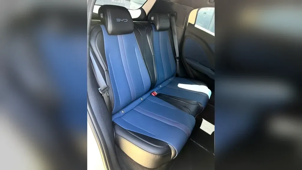 BYD Dolphin Mini - Imagem 17