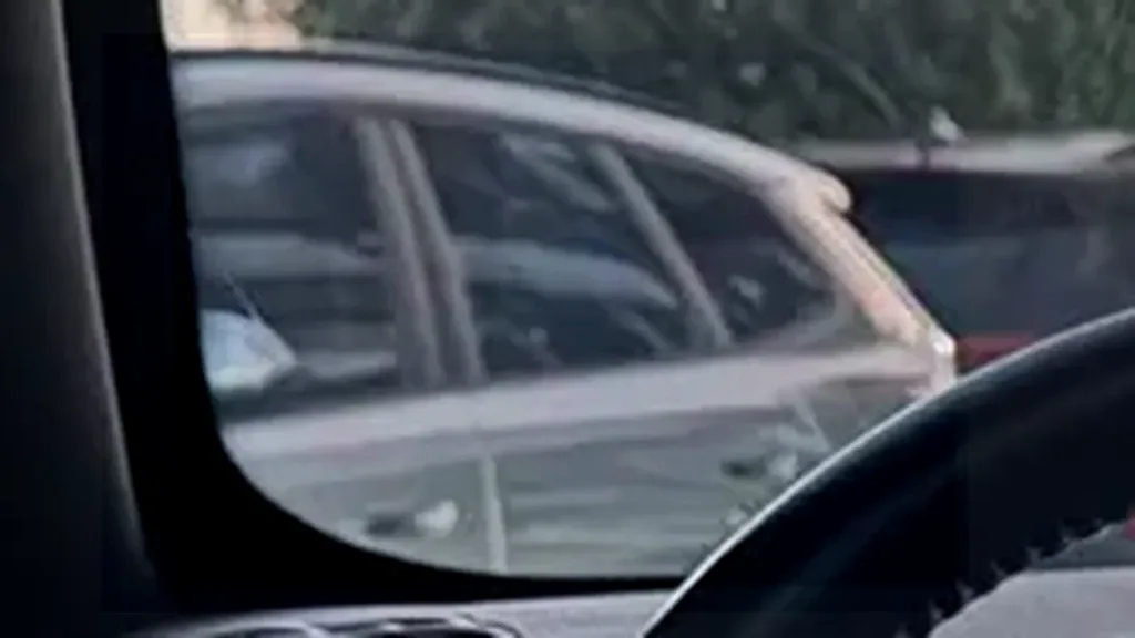 BYD Dolphin Plus - Imagem 6