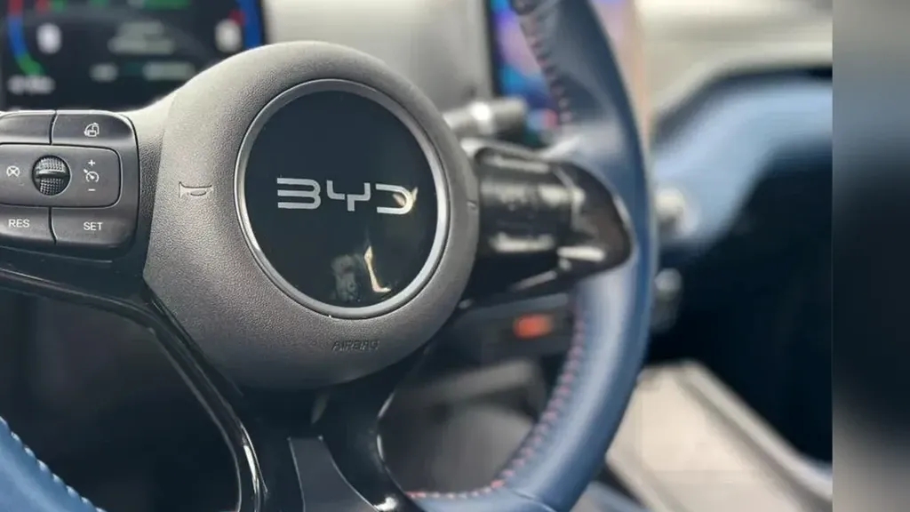 BYD Dolphin Mini - Imagem 10