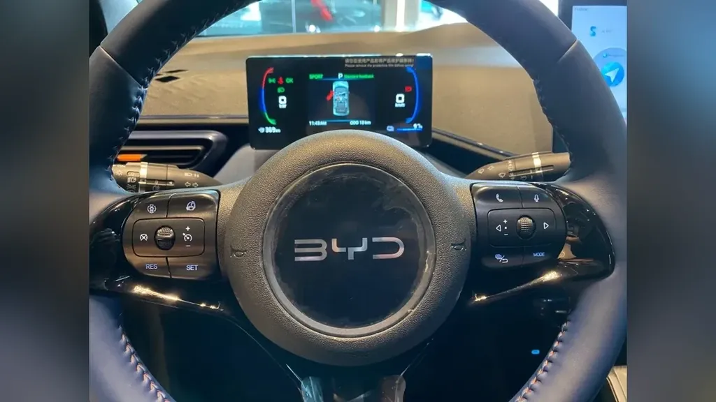 BYD Dolphin Mini - Imagem 12