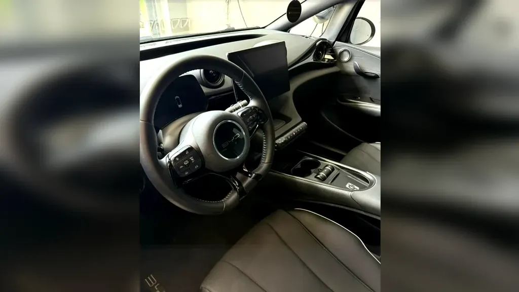 BYD Dolphin Plus - Imagem 6