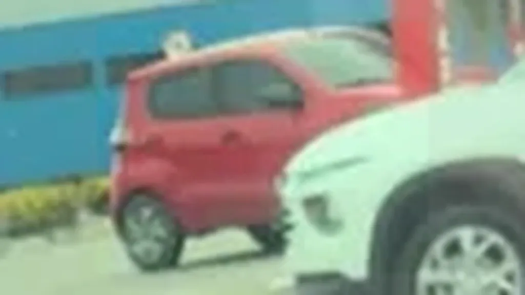 BYD Dolphin Mini - Imagem 9