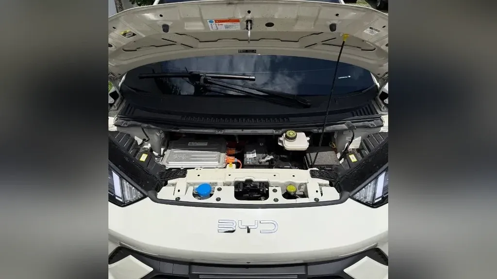 BYD Dolphin Mini - Imagem 8