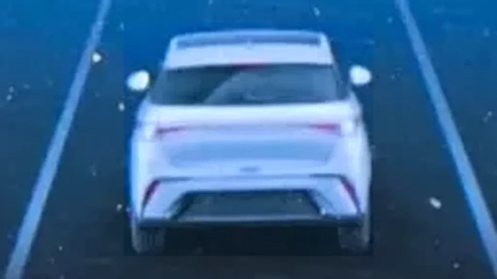 BYD Dolphin Plus - Imagem 9