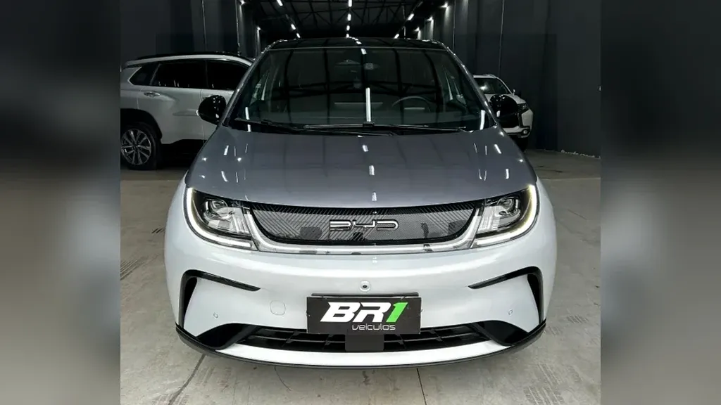 BYD Dolphin Plus - Imagem 8