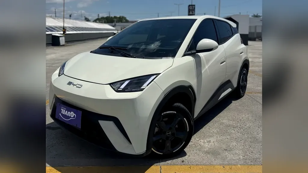 BYD Dolphin Mini - Imagem 14
