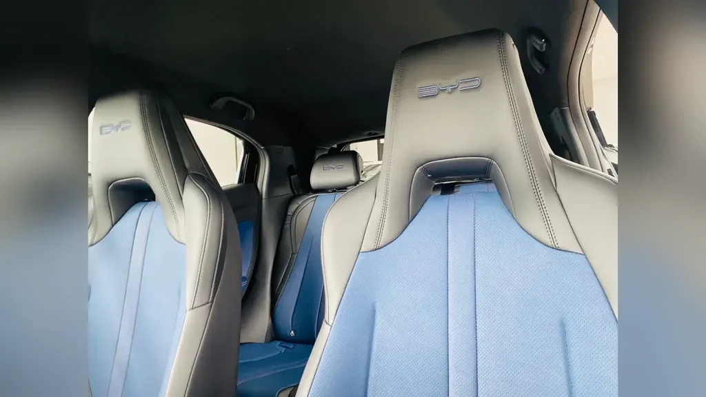 BYD Dolphin Mini - Imagem 10