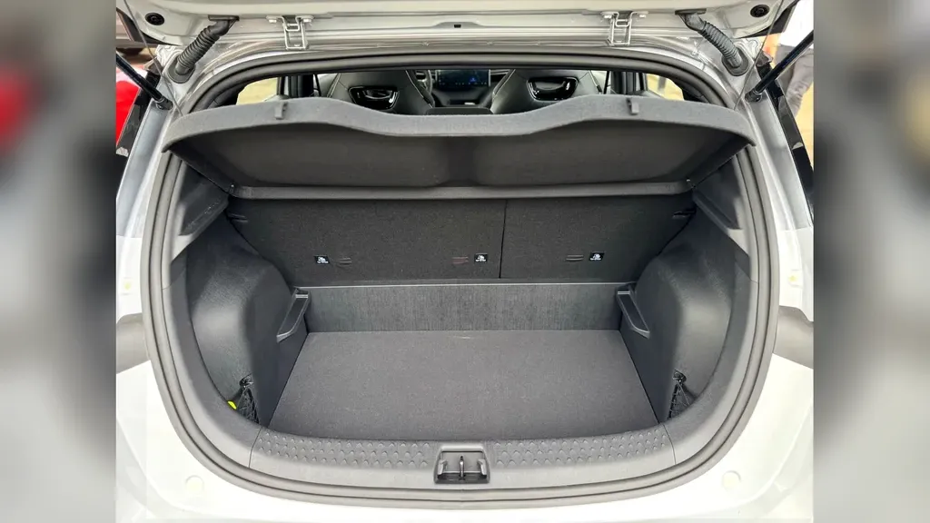 BYD Dolphin Plus - Imagem 13