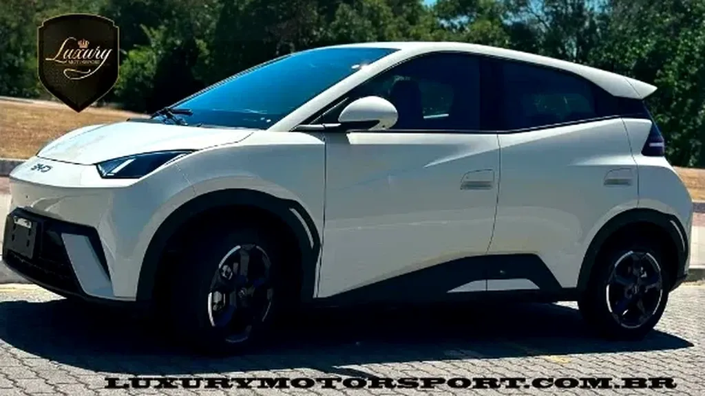 BYD Dolphin Mini - Imagem 10