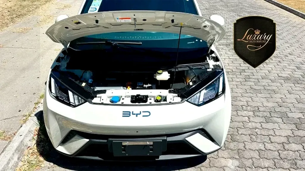 BYD Dolphin Mini - Imagem 16