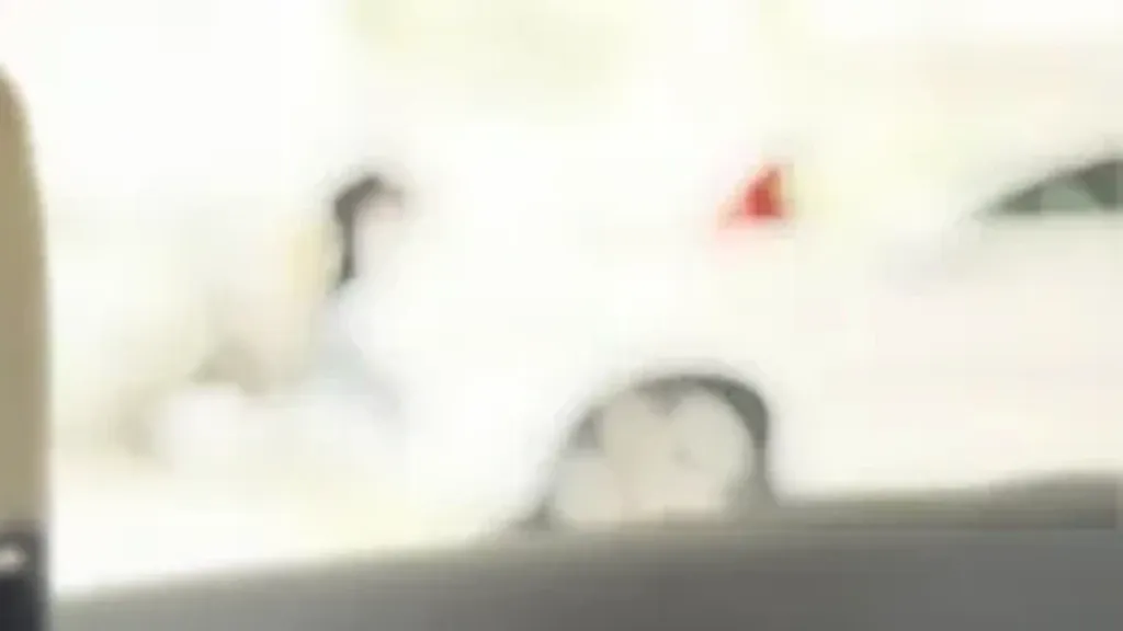 BYD Dolphin Mini - Imagem 8