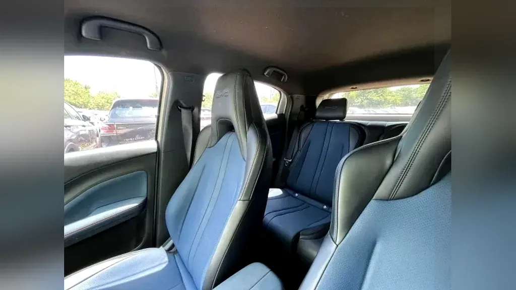 BYD Dolphin Mini - Imagem 18