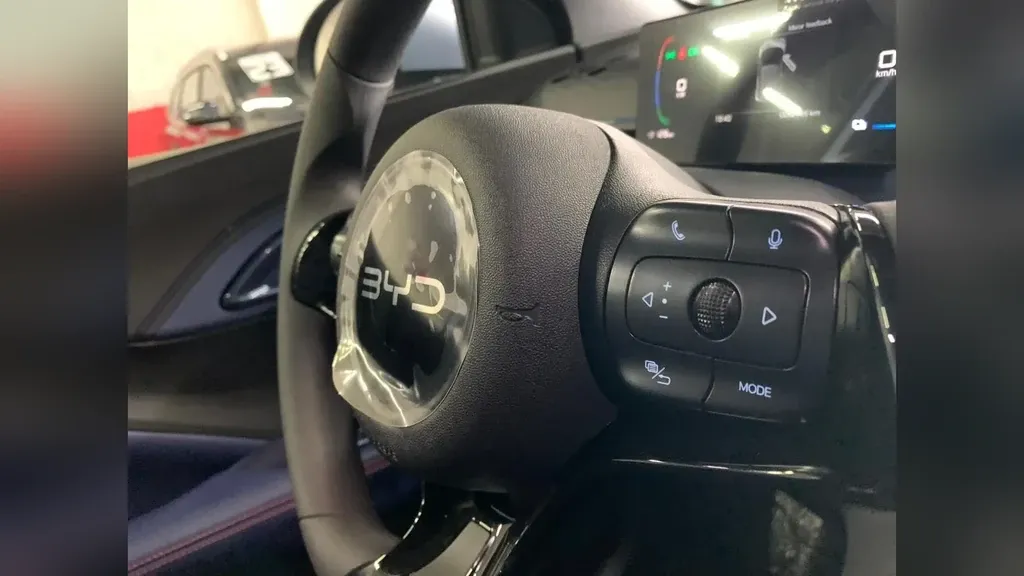 BYD Dolphin Mini - Imagem 14