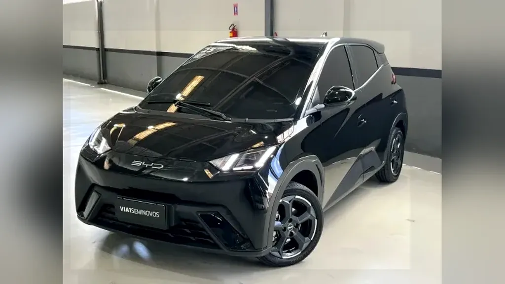 Foto de um byd dolphin mini