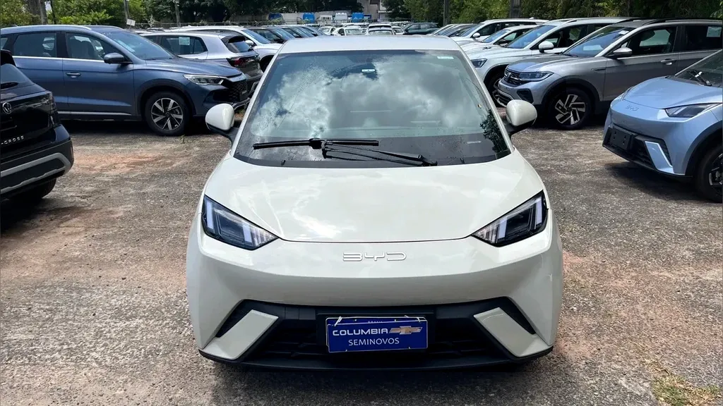 Foto de um byd dolphin mini