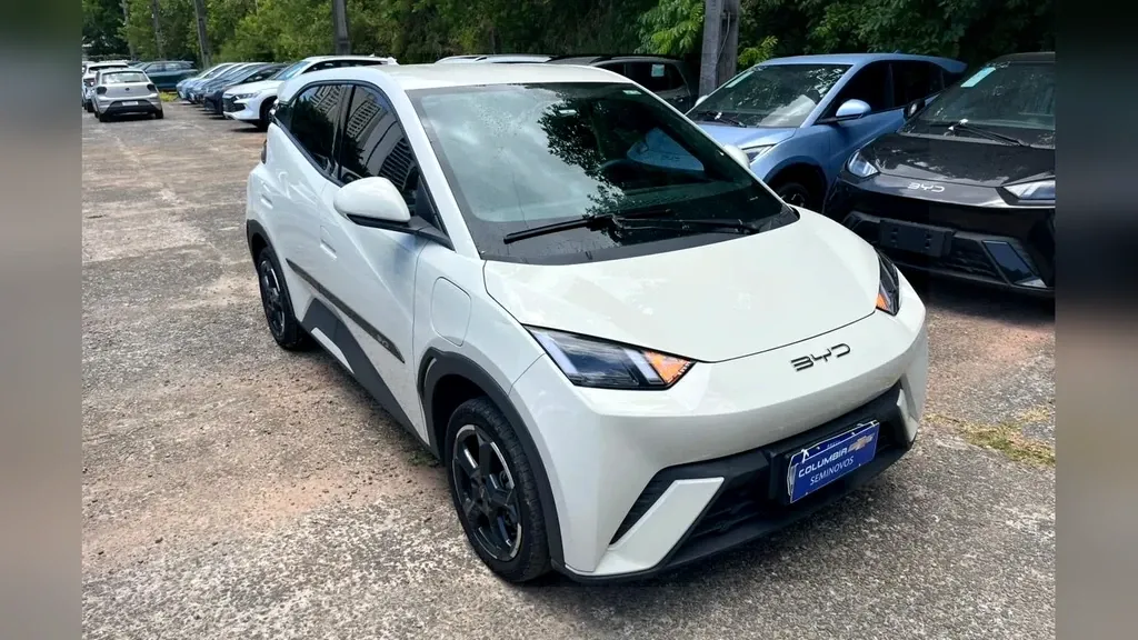 BYD Dolphin Mini - Imagem 14