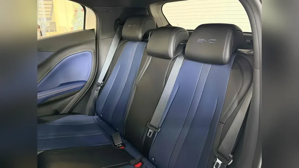 BYD Dolphin Mini - Imagem 15