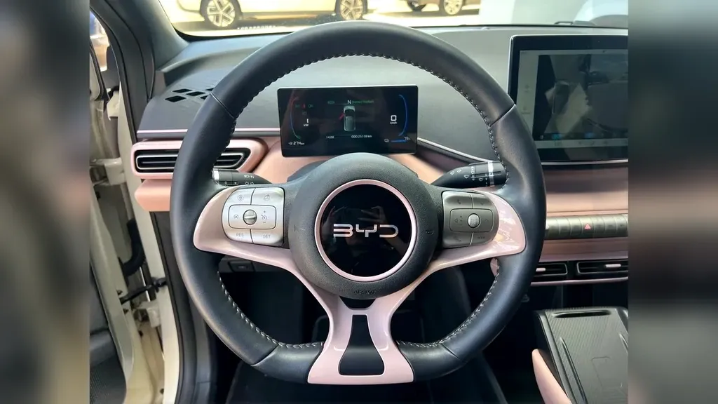 BYD Dolphin Mini - Imagem 11