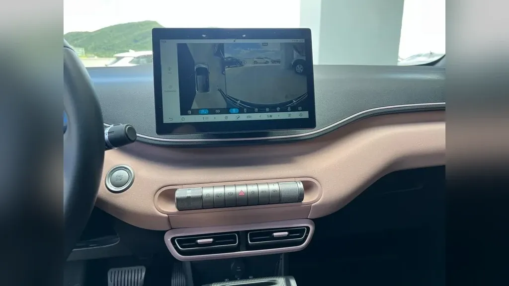 BYD Dolphin Mini - Imagem 12