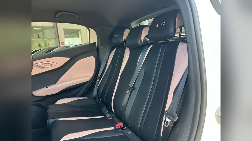 BYD Dolphin Mini - Imagem 13