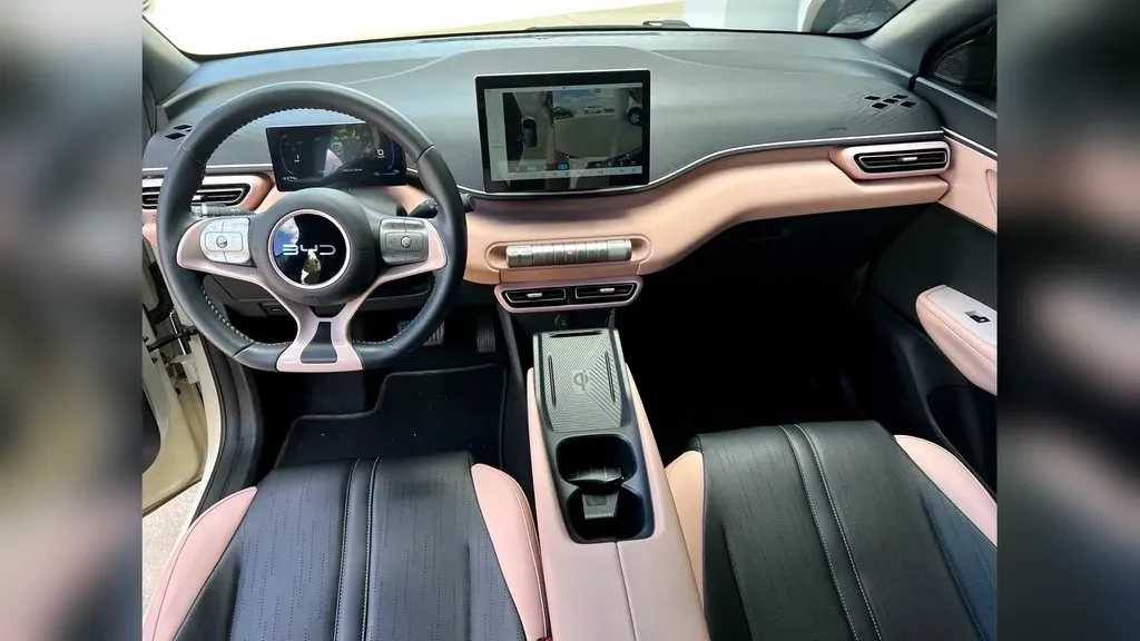 BYD Dolphin Mini - Imagem 14