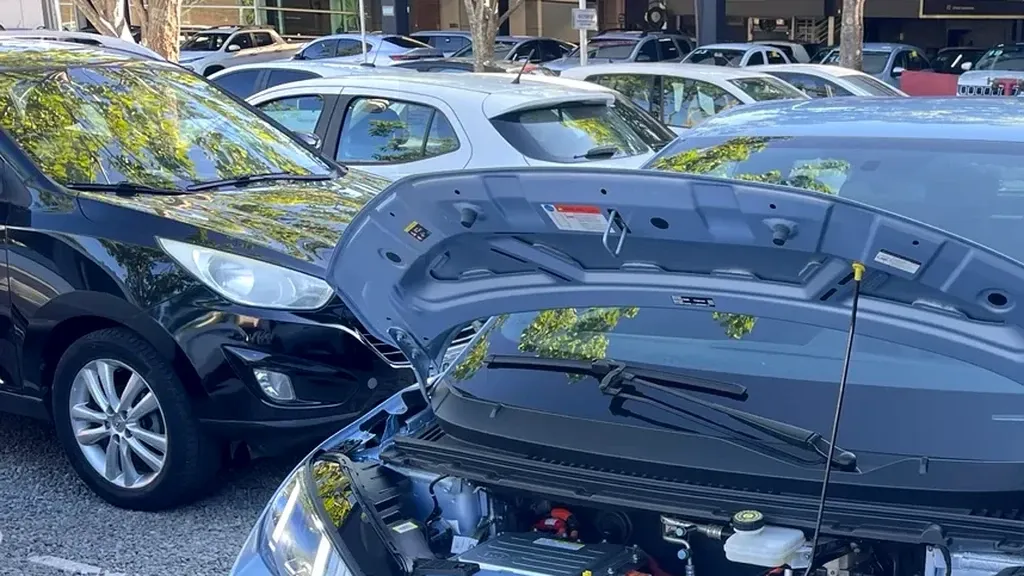 BYD Dolphin Mini - Imagem 16