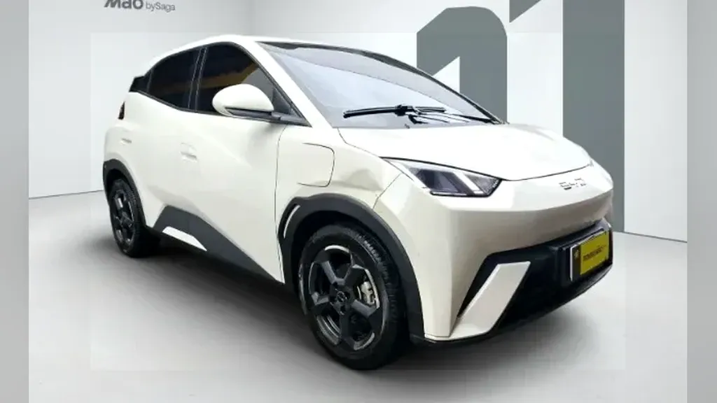 BYD Dolphin Mini - Imagem 10