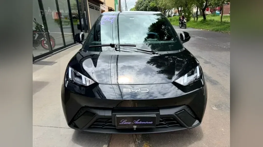 BYD Dolphin Mini - Imagem 2