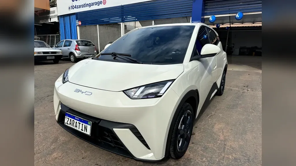 BYD Dolphin Mini - Imagem 15