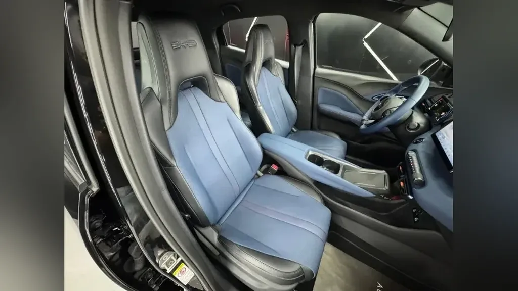 BYD Dolphin Mini - Imagem 14