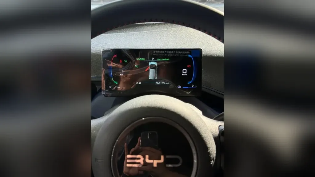 BYD Dolphin Mini - Imagem 13