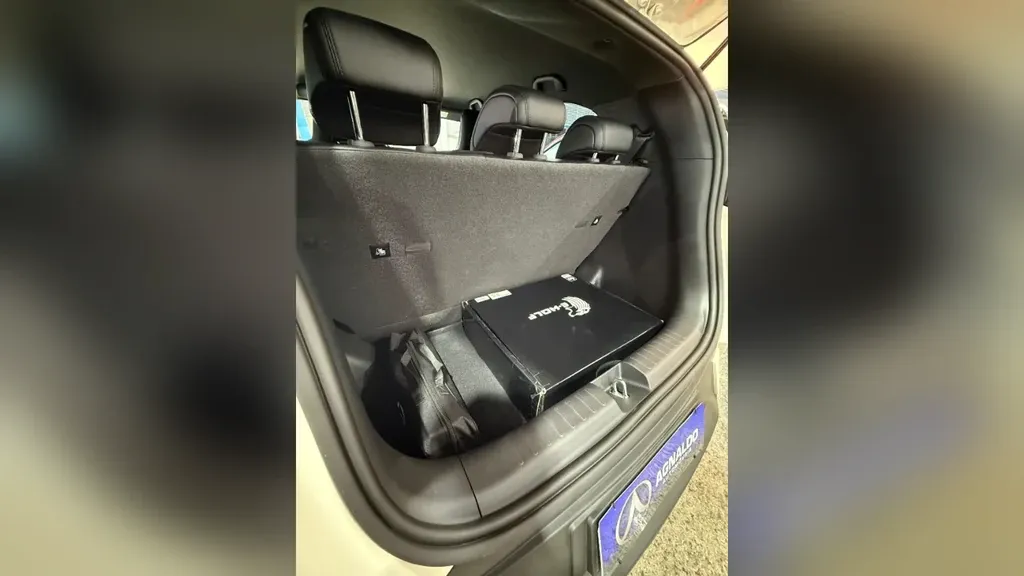 BYD Dolphin Mini - Imagem 14