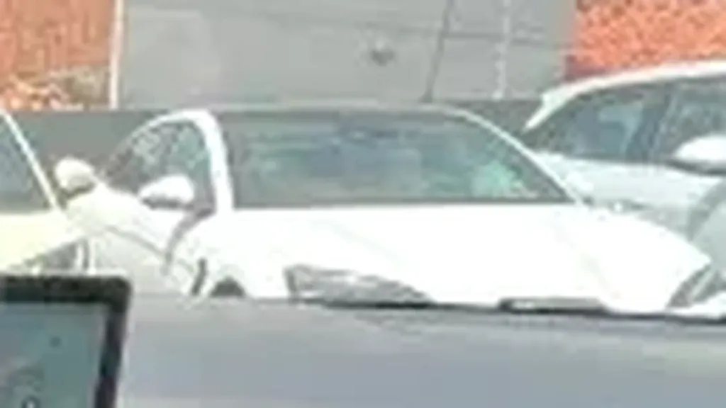 BYD Dolphin Mini - Imagem 12