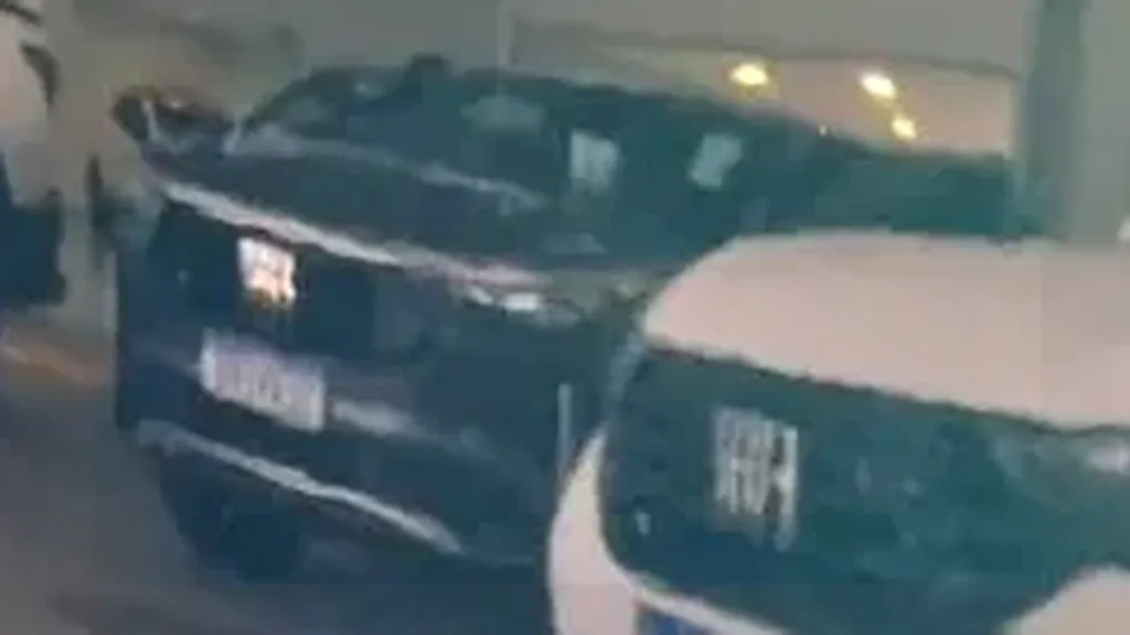 GWM Ora 03 - Imagem 5