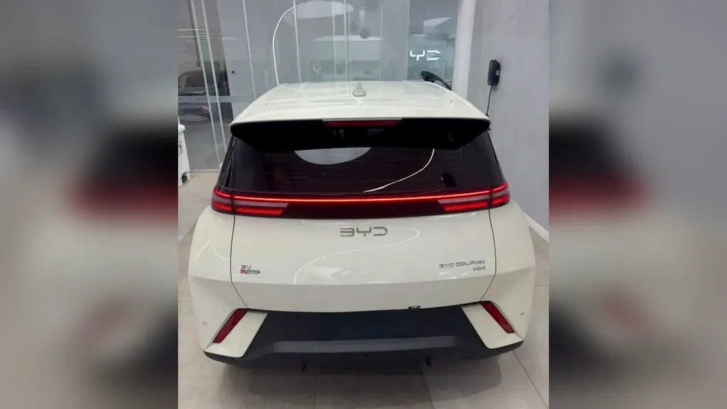 BYD Dolphin Mini - Imagem 11