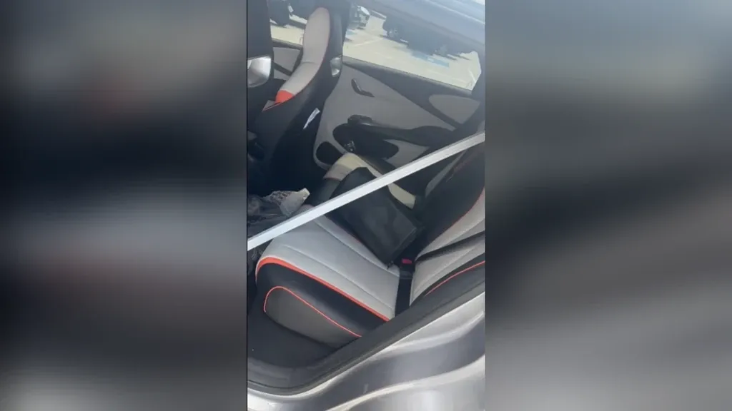 BYD Dolphin - Imagem 9