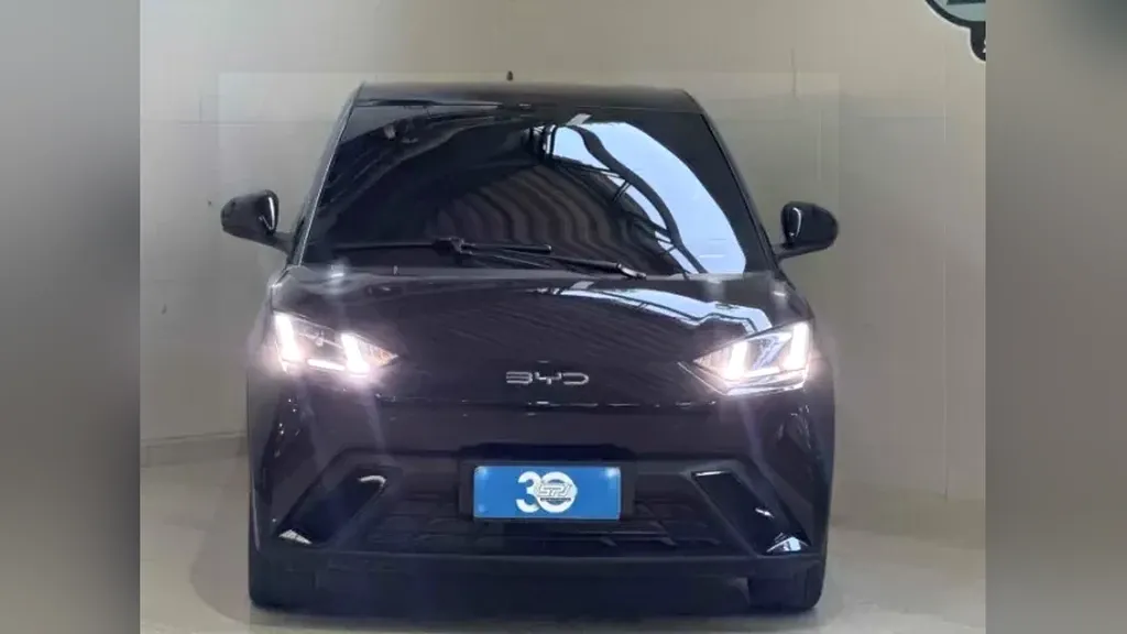 BYD Dolphin Mini - Imagem 2