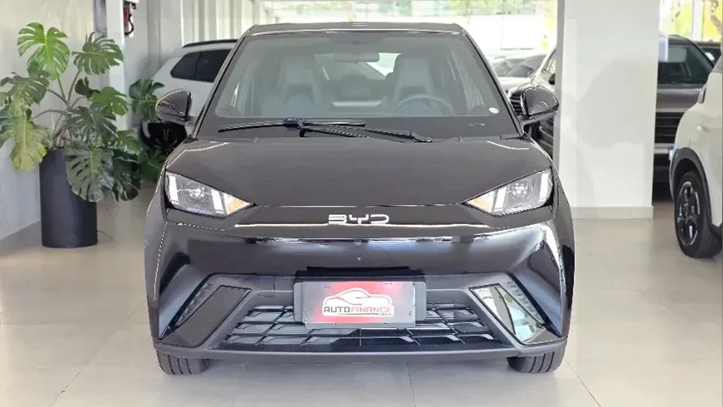 BYD Dolphin Mini - Imagem 14