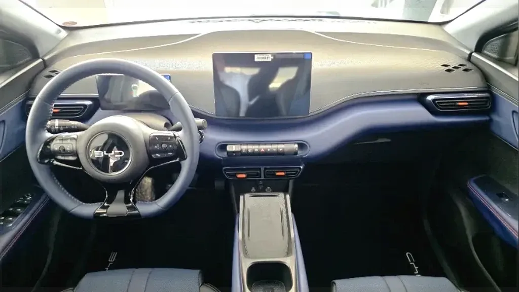 BYD Dolphin Mini - Imagem 16