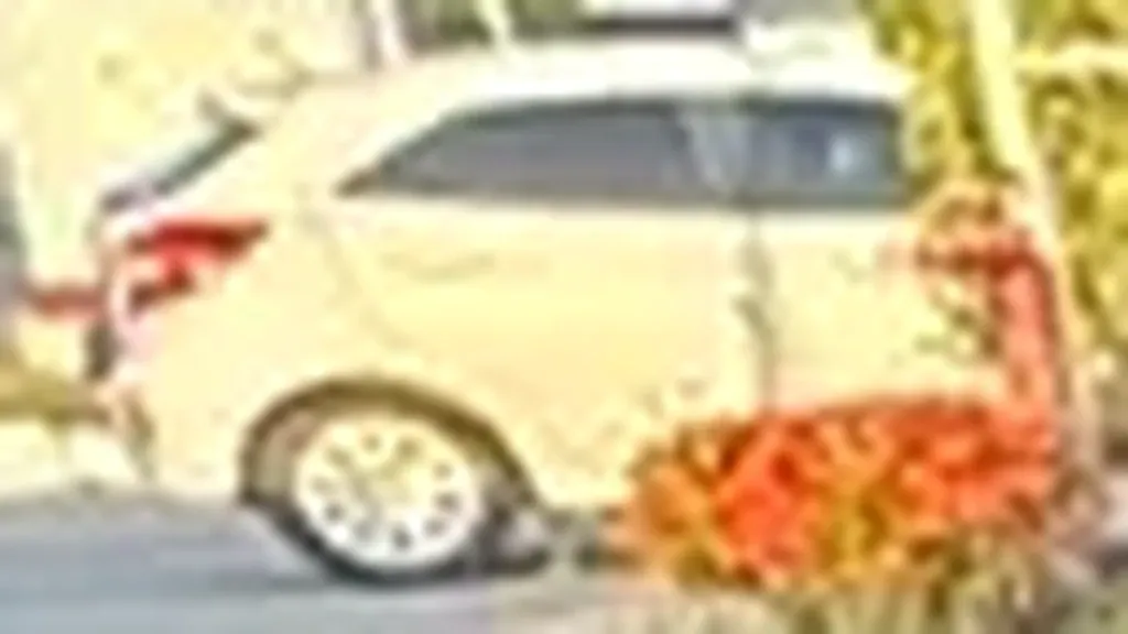 GWM Ora 03 - Imagem 12