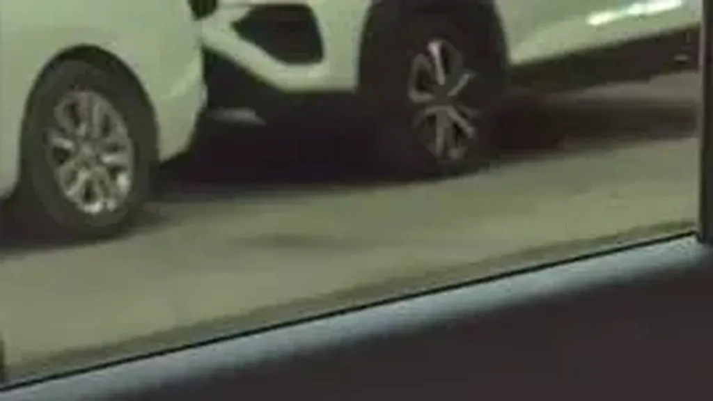 BYD Dolphin Mini - Imagem 19