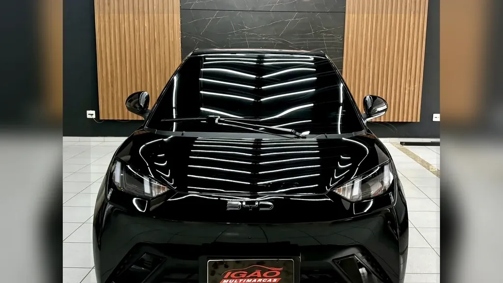 BYD Dolphin Mini - Imagem 2