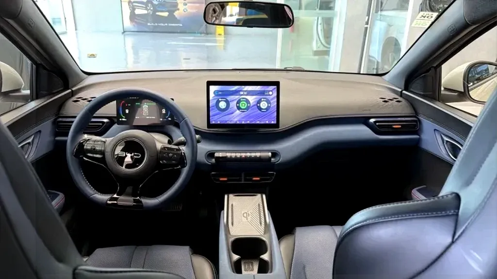 BYD Dolphin Mini - Imagem 12