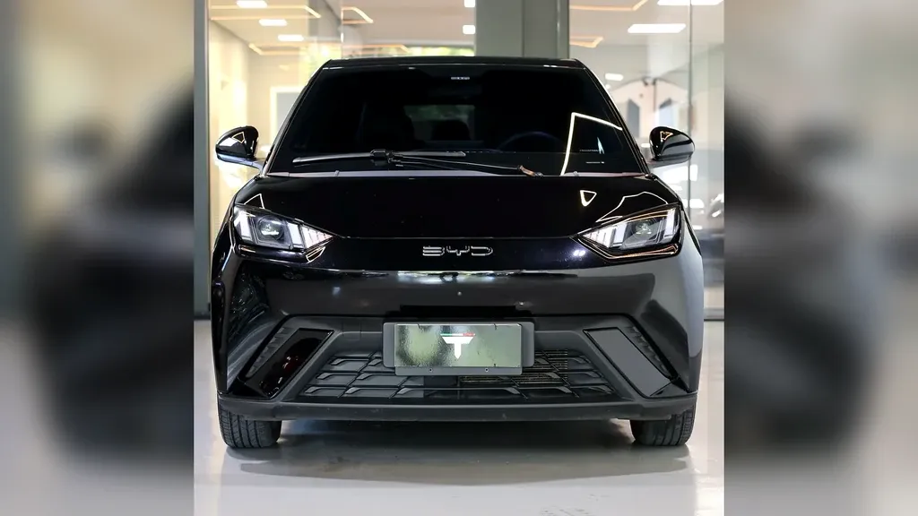 BYD Dolphin Mini - Imagem 3