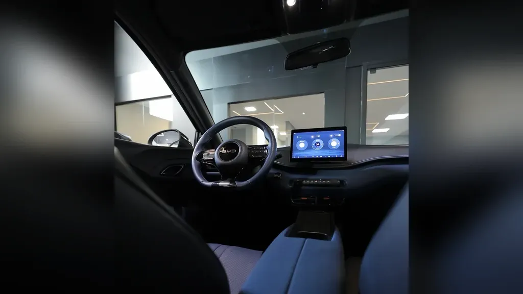 BYD Dolphin Mini - Imagem 12