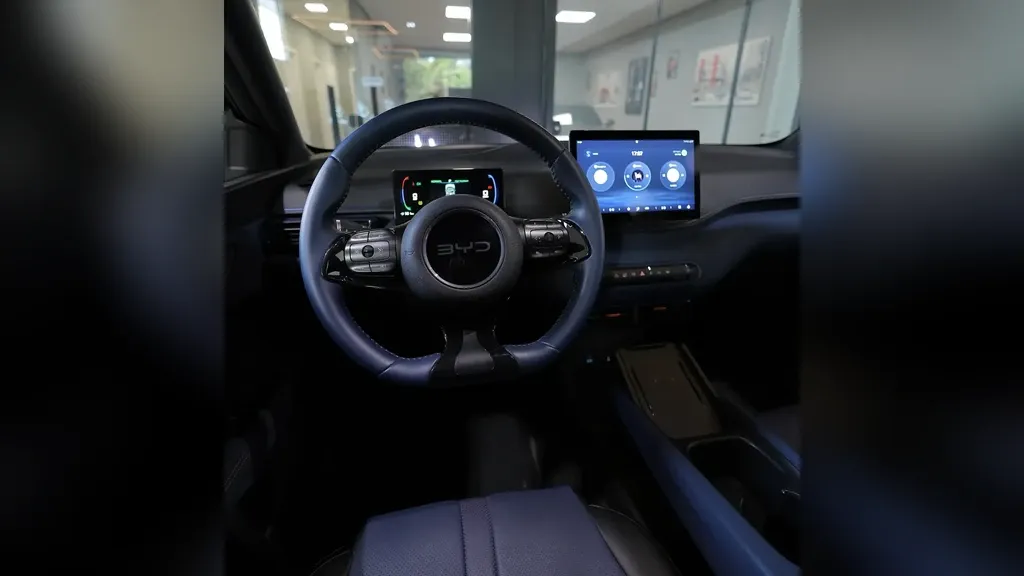 BYD Dolphin Mini - Imagem 13