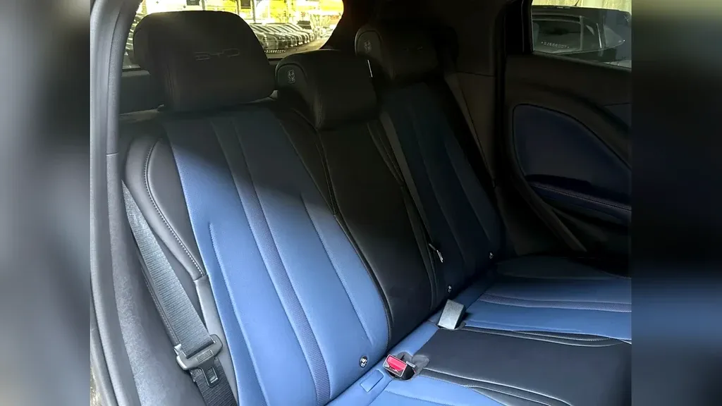 BYD Dolphin Mini - Imagem 16