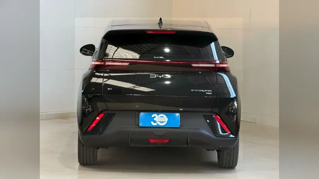 BYD Dolphin Mini - Imagem 18